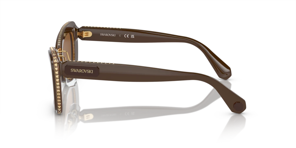 Swarovski SK6012 101173 52 Güneş Gözlükleri