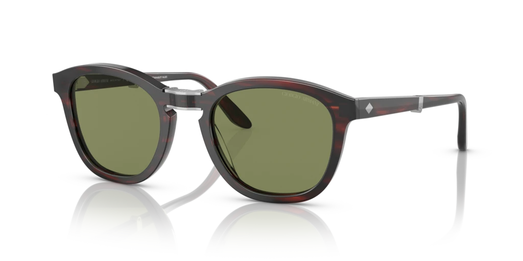 Giorgio Armani AR8170 59634E - 51 - Güneş Gözlükleri