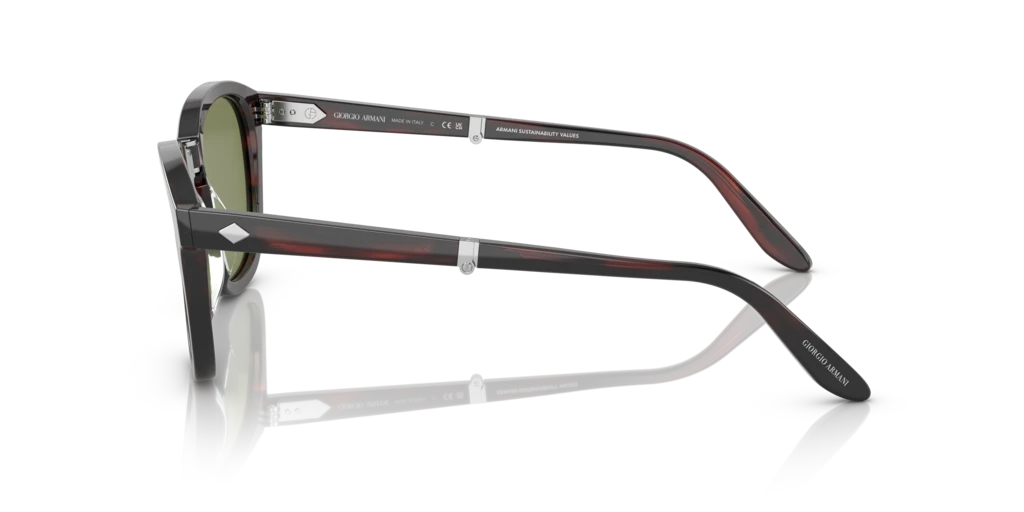 Giorgio Armani AR8170 59634E 51 Güneş Gözlükleri