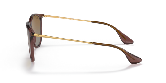 Ray-Ban RB4171 6593T5 - 54 - Güneş Gözlükleri