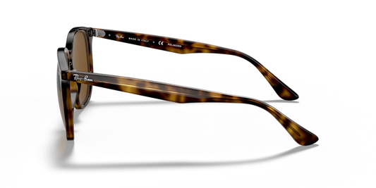 Ray-Ban RB4306 710/83 - 54 - Güneş Gözlükleri