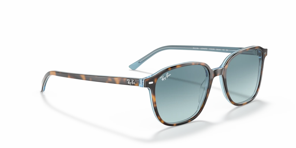 Ray Ban RB2193 13163M Güneş Gözlükleri