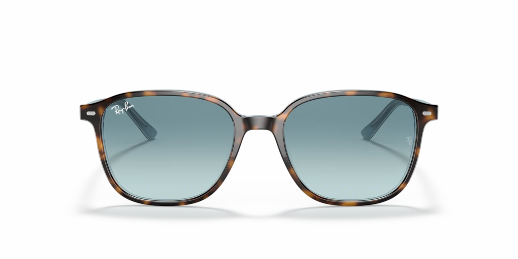 Ray Ban RB2193 13163M Güneş Gözlükleri