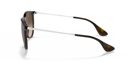 Ray Ban RB4171 631513 54 Güneş Gözlükleri