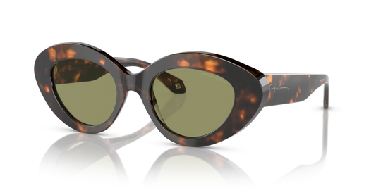 Giorgio Armani AR8188 599314 50 Güneş Gözlükleri