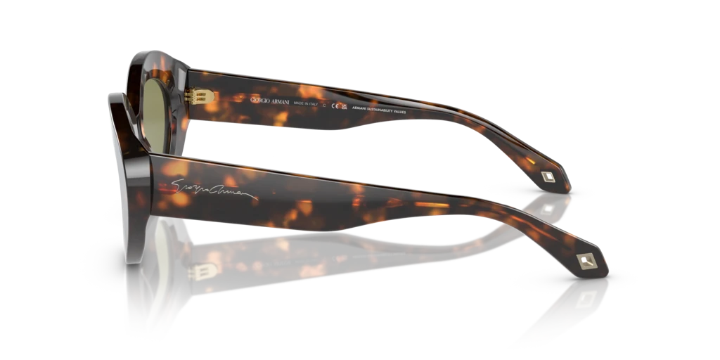 Giorgio Armani AR8188 599314 50 Güneş Gözlükleri