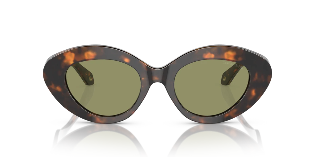 Giorgio Armani AR8188 599314 50 Güneş Gözlükleri