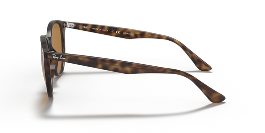 Ray-Ban RB4305 710/83 - 53 - Güneş Gözlükleri
