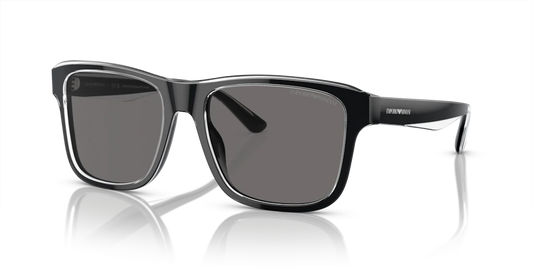 Emporio Armani EA4208 605187 56 Güneş Gözlükleri