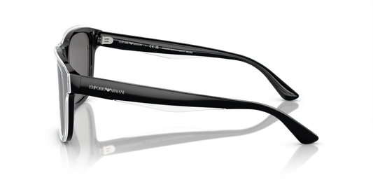 Emporio Armani EA4208 605187 56 Güneş Gözlükleri