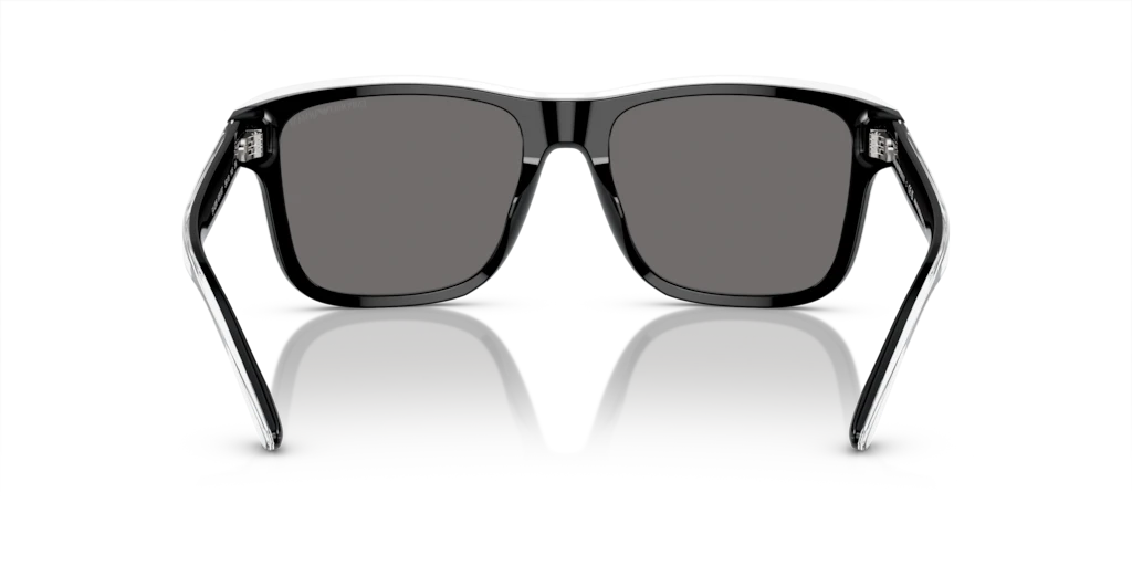 Emporio Armani EA4208 605187 56 Güneş Gözlükleri