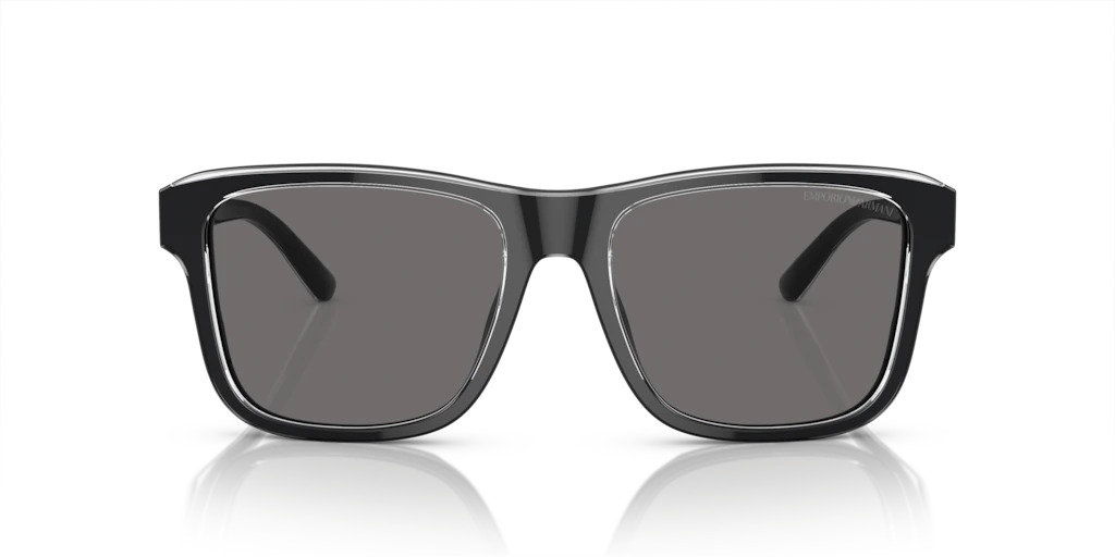 Emporio Armani EA4208 605187 56 Güneş Gözlükleri