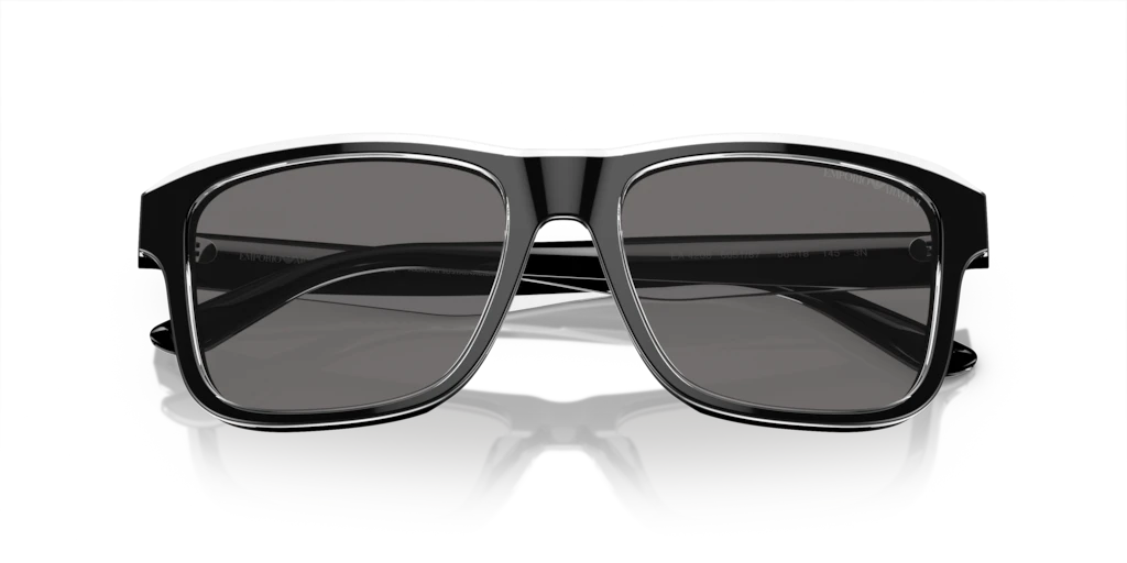 Emporio Armani EA4208 605187 56 Güneş Gözlükleri