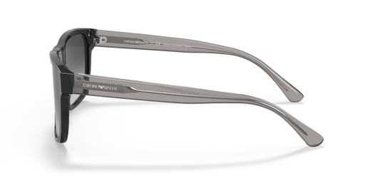 Emporio Armani EA4163 58758G 56 Güneş Gözlükleri