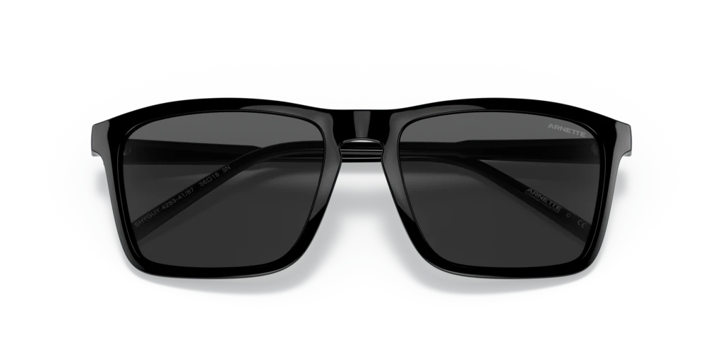 Arnette AN4283 41/87 - 56 - Güneş Gözlükleri