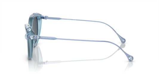 Swarovski SK6010 200487 53 Güneş Gözlükleri