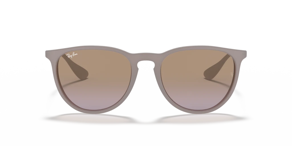 Ray Ban RB4171 600068 54 Güneş Gözlükleri