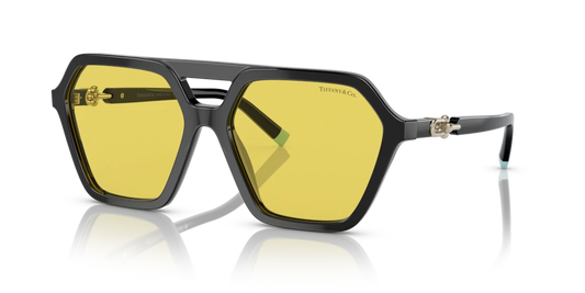 Tiffany TF4198 800185 58 Güneş Gözlükleri