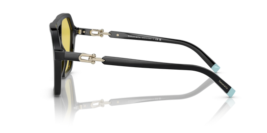 Tiffany TF4198 800185 58 Güneş Gözlükleri