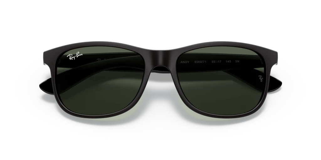 Ray-Ban RB4202 606971 - 55 - Güneş Gözlükleri