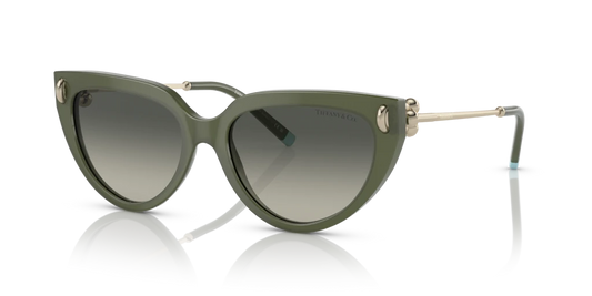 Tiffany TF4195 835811 54 Güneş Gözlükleri