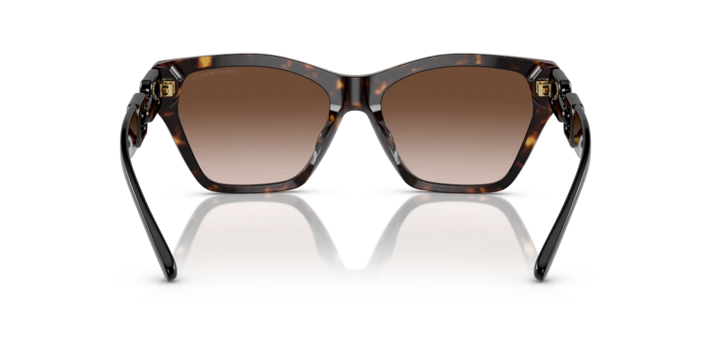 Emporio Armani EA4203U 502613 55 Güneş Gözlükleri