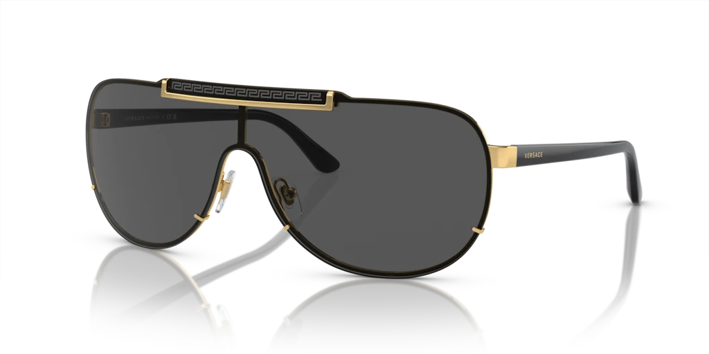 Versace VE2140 100287 40 Güneş Gözlükleri