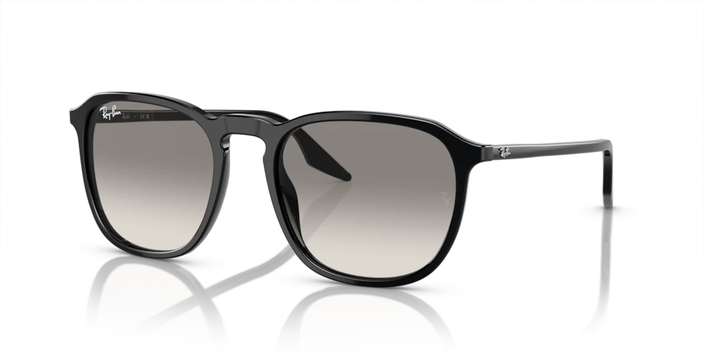 Ray Ban RB2203 901/32 Güneş Gözlükleri