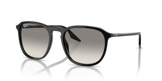 Ray Ban RB2203 901/32 Güneş Gözlükleri