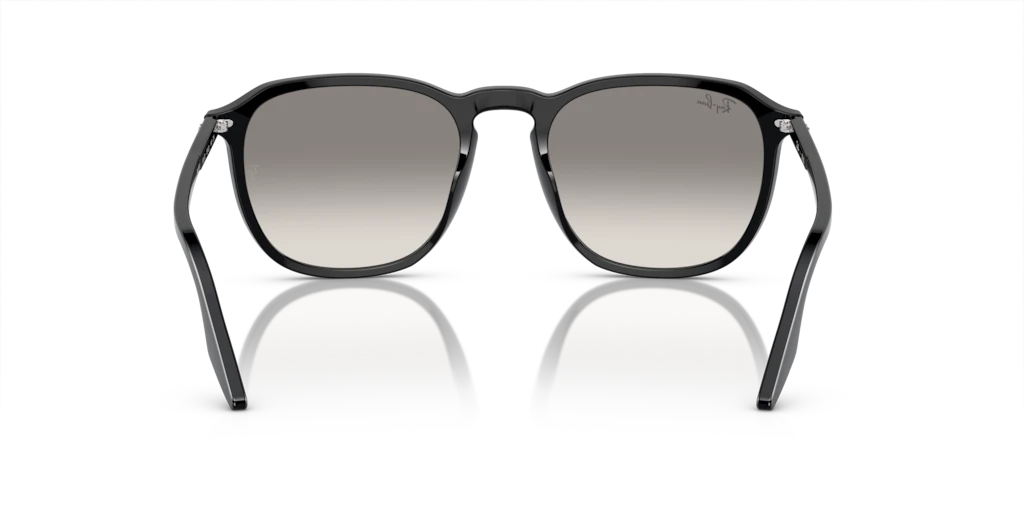 Ray Ban RB2203 901/32 Güneş Gözlükleri