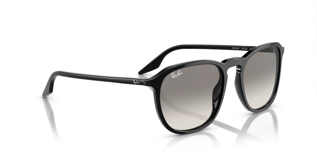 Ray Ban RB2203 901/32 Güneş Gözlükleri