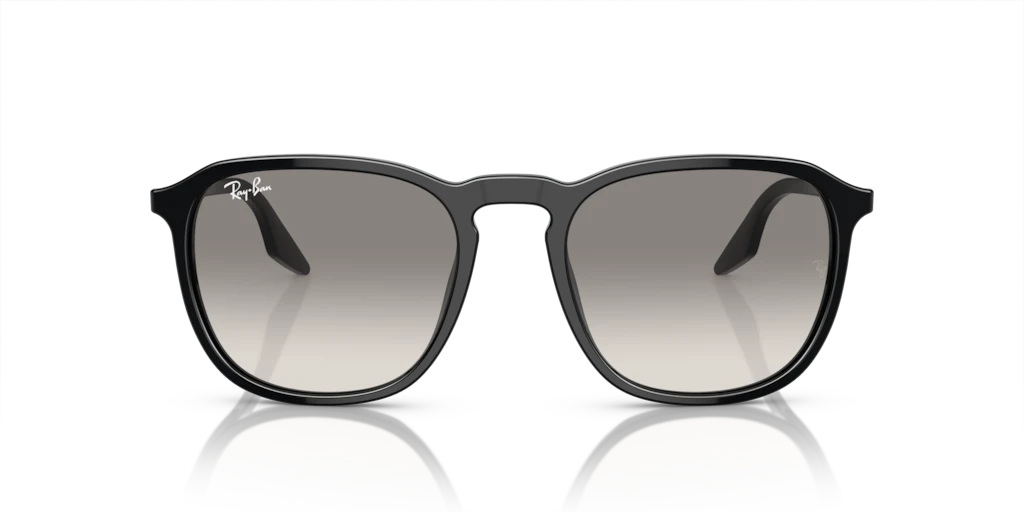 Ray Ban RB2203 901/32 Güneş Gözlükleri