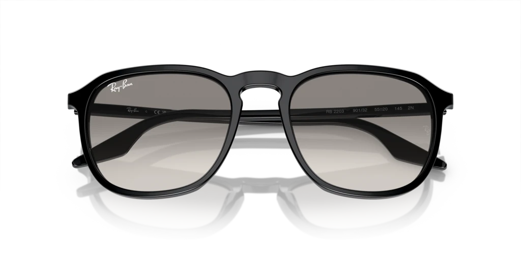 Ray Ban RB2203 901/32 Güneş Gözlükleri