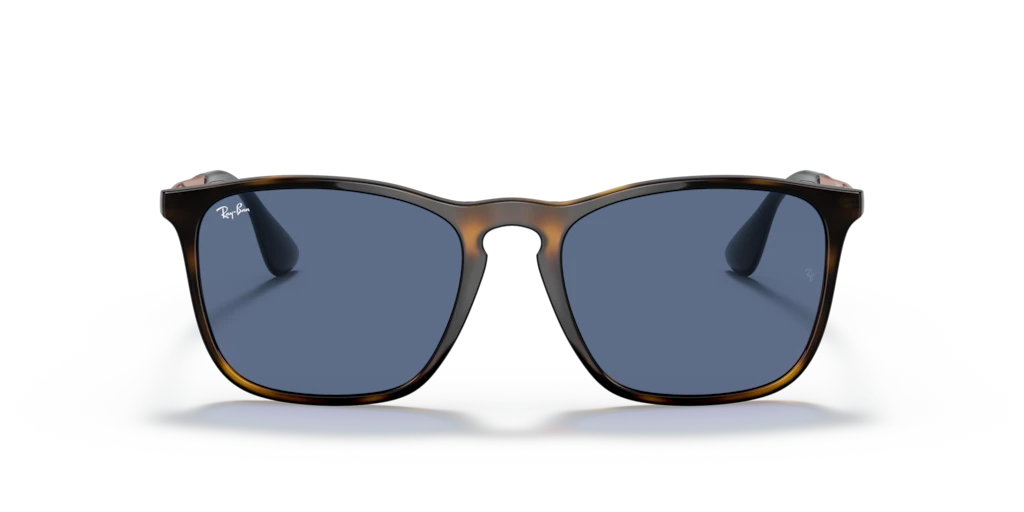 Ray-Ban RB4187 639080 - 54 - Güneş Gözlükleri
