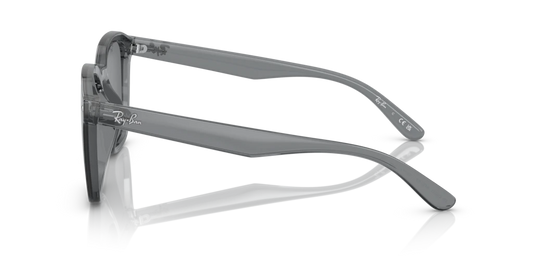 Ray Ban RB4392D 645087 66 Güneş Gözlükleri