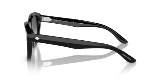 Giorgio Armani AR8181 587571 49 Güneş Gözlükleri