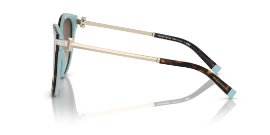 Tiffany TF4193B 81343B 55 Güneş Gözlükleri