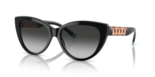 Tiffany TF4196 80013C 56 Güneş Gözlükleri