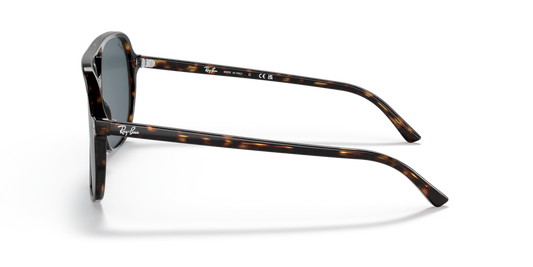 Ray Ban RB2198 902/R5 Güneş Gözlükleri