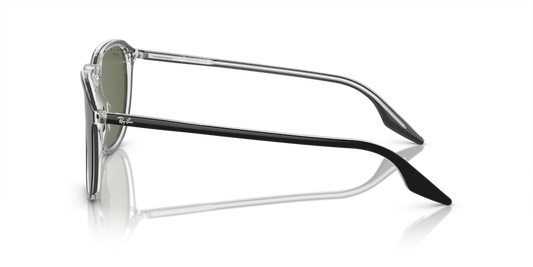 Ray-Ban RB2203 919/58 - Güneş Gözlükleri