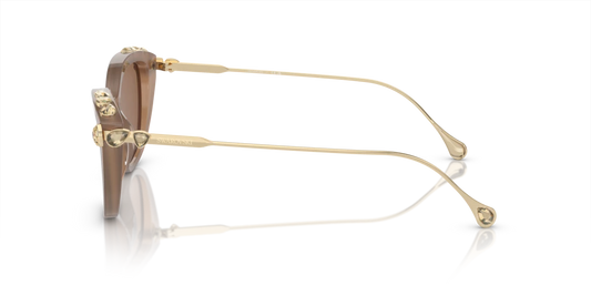 Swarovski SK6010 2002OK 53 Güneş Gözlükleri