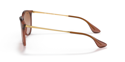 Ray Ban RB4171 659013 54 Güneş Gözlükleri