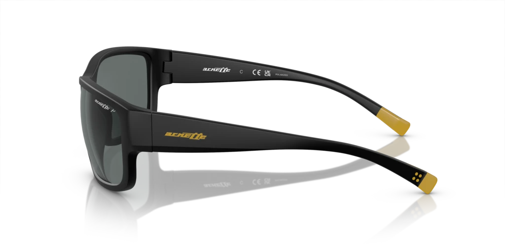 Arnette AN4256 01/81 - 62 - Güneş Gözlükleri