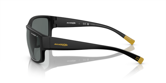 Arnette AN4256 01/81 - 62 - Güneş Gözlükleri