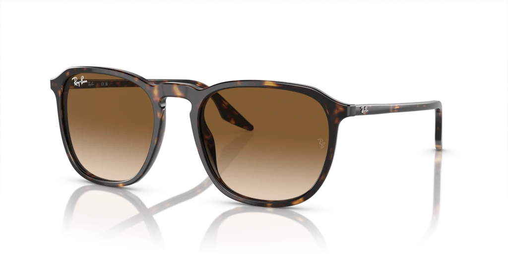 Ray Ban RB2203 902/51 52 Güneş Gözlükleri