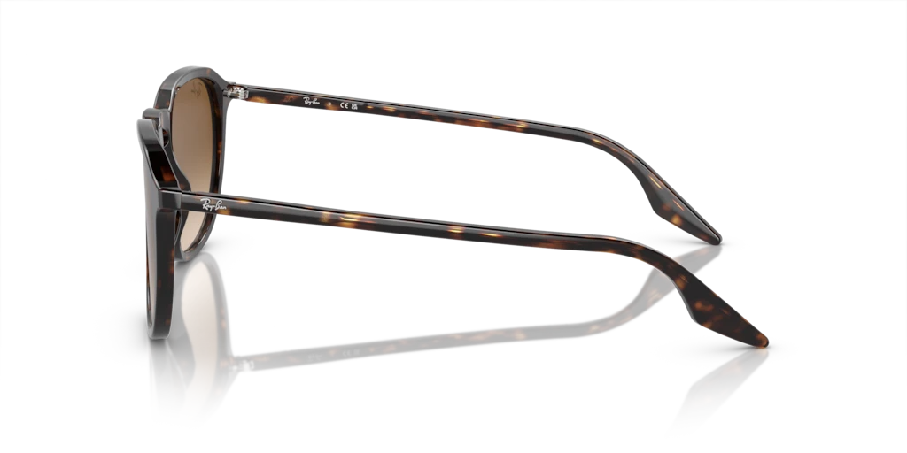 Ray Ban RB2203 902/51 Güneş Gözlükleri
