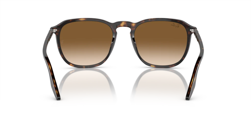 Ray Ban RB2203 902/51 Güneş Gözlükleri