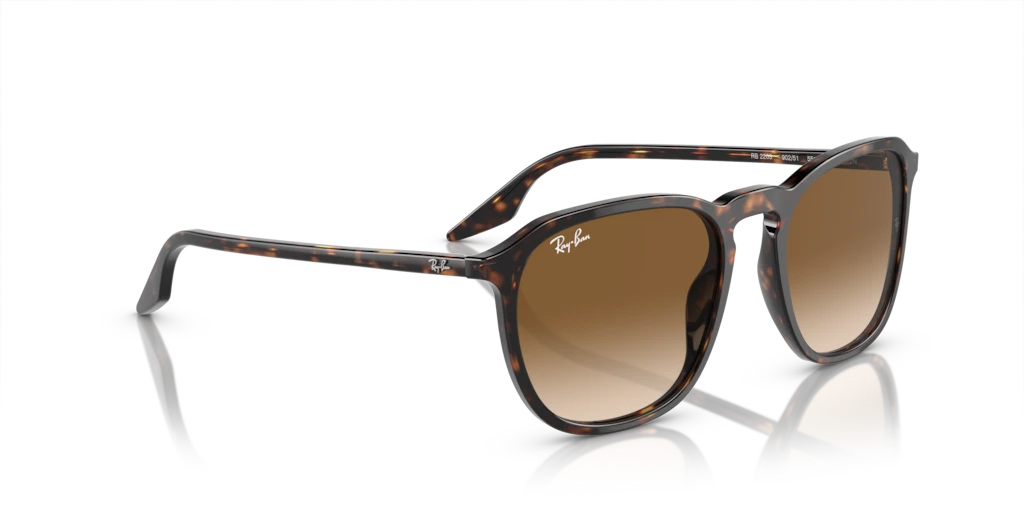 Ray Ban RB2203 902/51 Güneş Gözlükleri