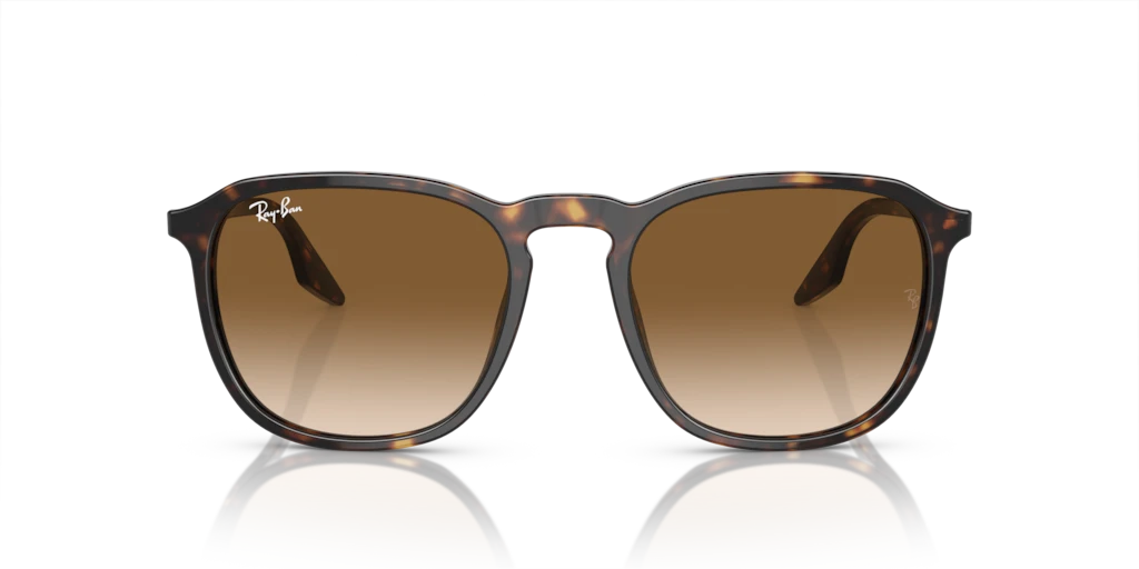 Ray Ban RB2203 902/51 Güneş Gözlükleri