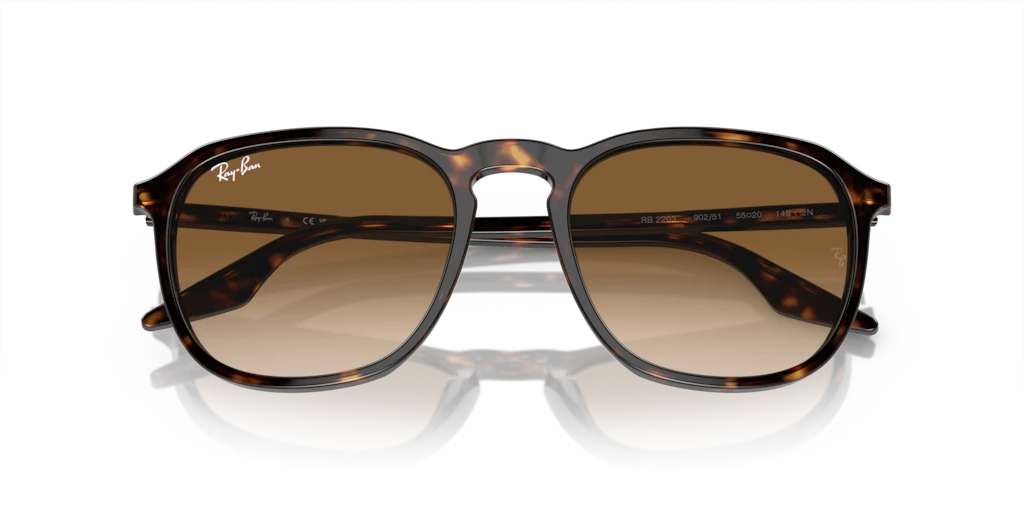 Ray Ban RB2203 902/51 Güneş Gözlükleri